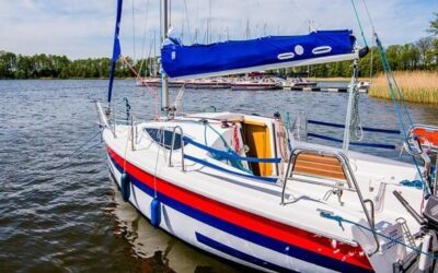 Maxus 24